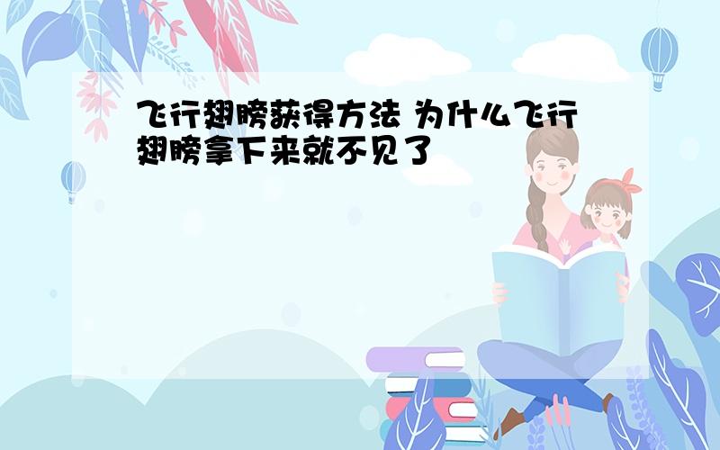 飞行翅膀获得方法 为什么飞行翅膀拿下来就不见了