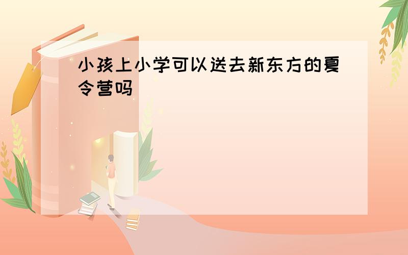 小孩上小学可以送去新东方的夏令营吗