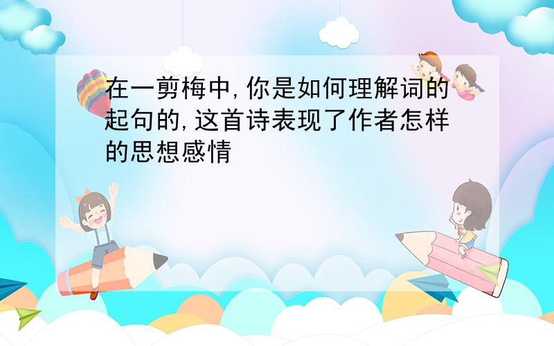 在一剪梅中,你是如何理解词的起句的,这首诗表现了作者怎样的思想感情