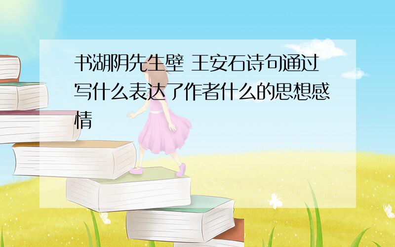 书湖阴先生壁 王安石诗句通过写什么表达了作者什么的思想感情