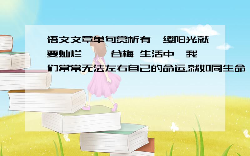 语文文章单句赏析有一缕阳光就要灿烂 　　谷梅 生活中,我们常常无法左右自己的命运.就如同生命,它是父母赋予我们的,对于它,我们不能随意践踏,只有把它延续下去的义务.但是,在延续生命