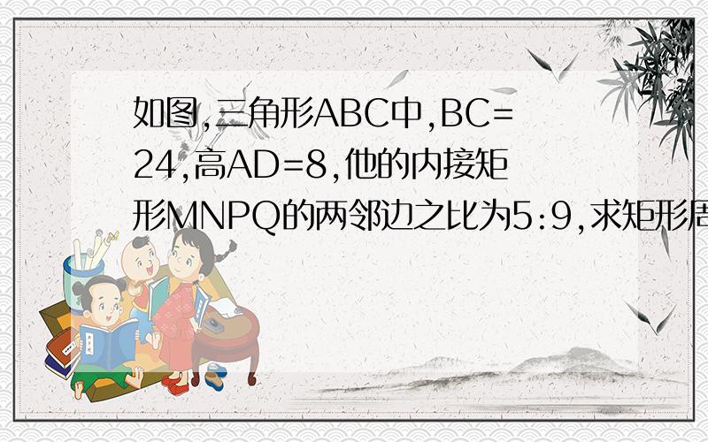 如图,三角形ABC中,BC=24,高AD=8,他的内接矩形MNPQ的两邻边之比为5:9,求矩形周长(快呀!