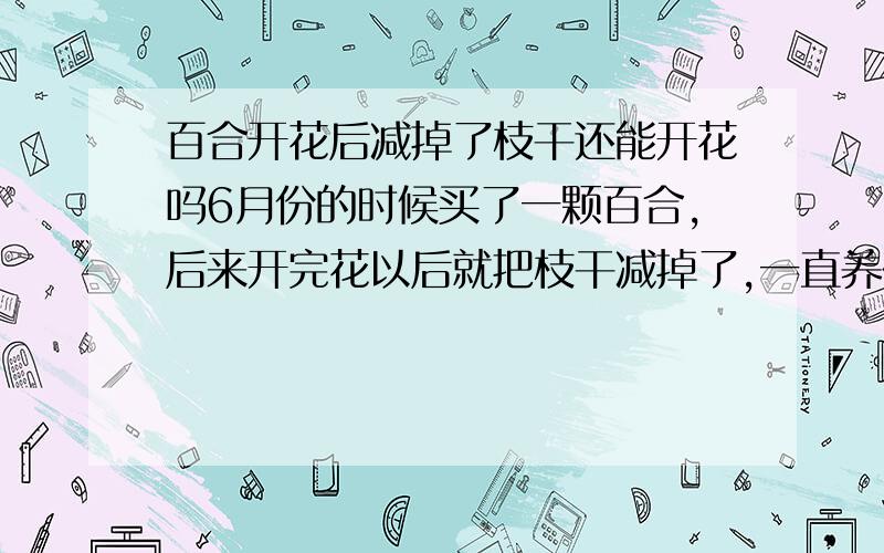 百合开花后减掉了枝干还能开花吗6月份的时候买了一颗百合,后来开完花以后就把枝干减掉了,一直养在花盆里,也不知道还能不能活,用手拔一下枯萎的枝干也拔不动,到现在都两个月了,也不知