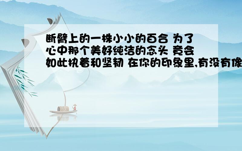 断臂上的一株小小的百合 为了心中那个美好纯洁的念头 竟会如此执着和坚韧 在你的印象里,有没有像这样感慨的植物?请选择你印象最深的写一些