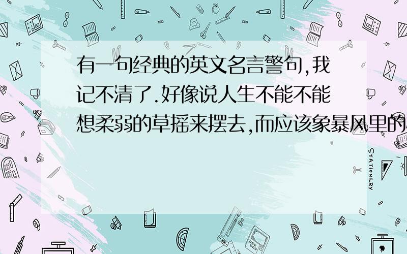 有一句经典的英文名言警句,我记不清了.好像说人生不能不能想柔弱的草摇来摆去,而应该象暴风里的橡树般挺立,什么 oak in the storm 什么的.很想知道原文,盼答!