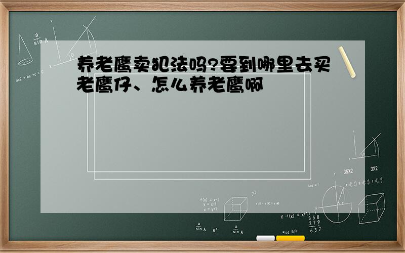 养老鹰卖犯法吗?要到哪里去买老鹰仔、怎么养老鹰啊