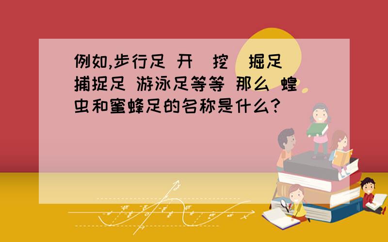 例如,步行足 开（挖）掘足 捕捉足 游泳足等等 那么 蝗虫和蜜蜂足的名称是什么?