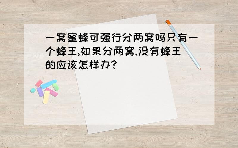 一窝蜜蜂可强行分两窝吗只有一个蜂王,如果分两窝.没有蜂王的应该怎样办?