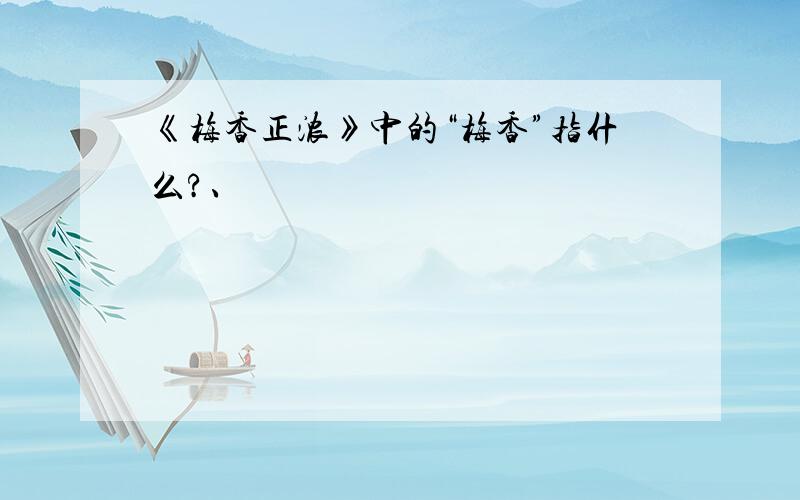 《梅香正浓》中的“梅香”指什么?、