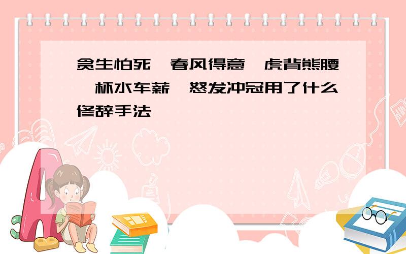 贪生怕死、春风得意、虎背熊腰、杯水车薪、怒发冲冠用了什么修辞手法