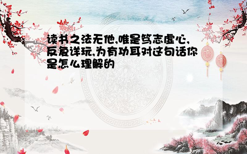 读书之法无他,唯是笃志虚心,反复详玩,为有功耳对这句话你是怎么理解的