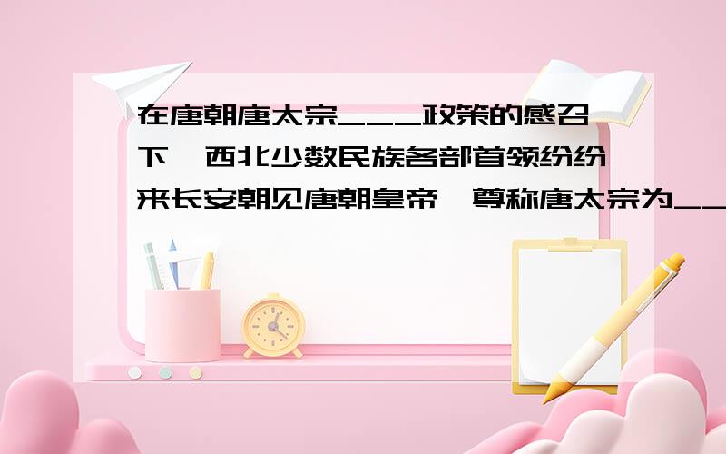 在唐朝唐太宗___政策的感召下,西北少数民族各部首领纷纷来长安朝见唐朝皇帝,尊称唐太宗为___