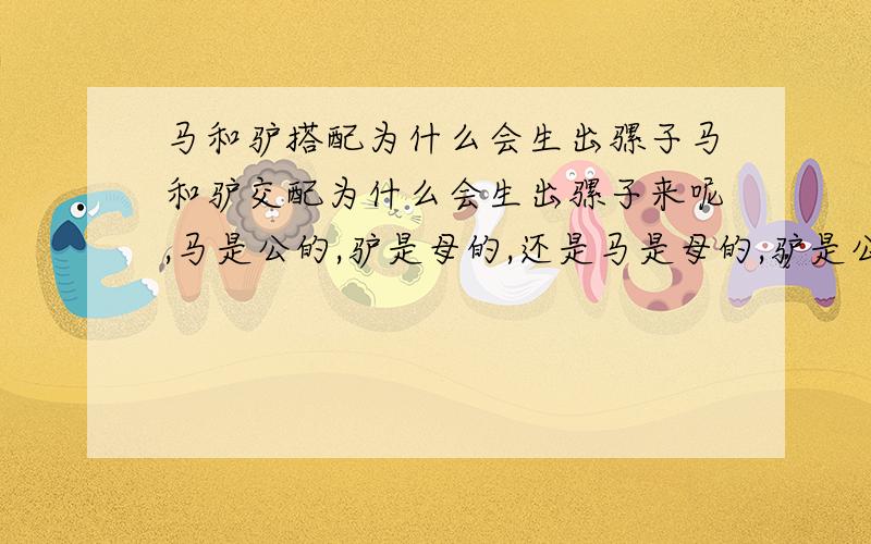 马和驴搭配为什么会生出骡子马和驴交配为什么会生出骡子来呢,马是公的,驴是母的,还是马是母的,驴是公的