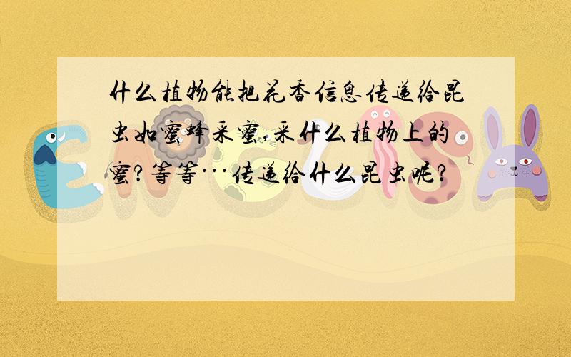 什么植物能把花香信息传递给昆虫如蜜蜂采蜜,采什么植物上的蜜?等等···传递给什么昆虫呢？