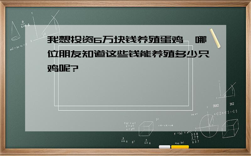 我想投资6万块钱养殖蛋鸡,哪位朋友知道这些钱能养殖多少只鸡呢?