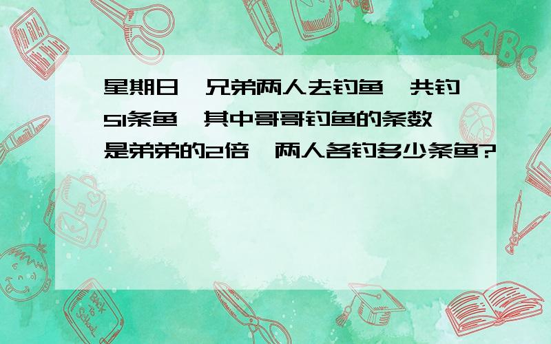 星期日,兄弟两人去钓鱼,共钓51条鱼,其中哥哥钓鱼的条数是弟弟的2倍,两人各钓多少条鱼?