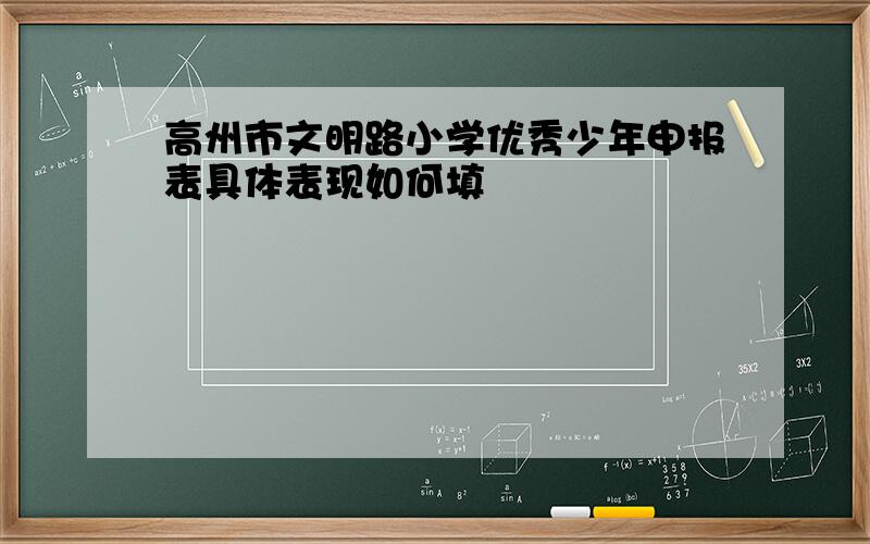 高州市文明路小学优秀少年申报表具体表现如何填