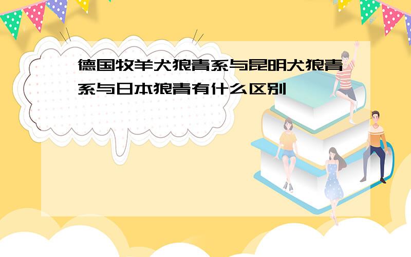 德国牧羊犬狼青系与昆明犬狼青系与日本狼青有什么区别