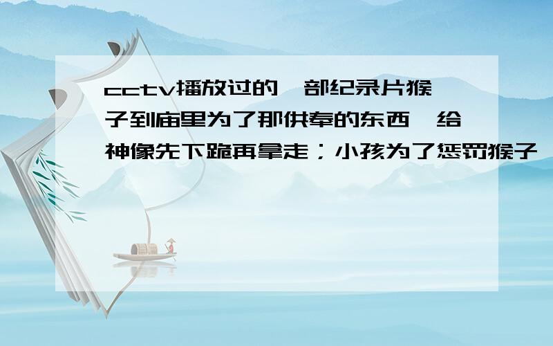 cctv播放过的一部纪录片猴子到庙里为了那供奉的东西,给神像先下跪再拿走；小孩为了惩罚猴子,用酒引诱猴子,猴子喝醉了,小孩最后用水帮猴子醒酒；猴王争夺,最后老猴王死在海边.非常有趣