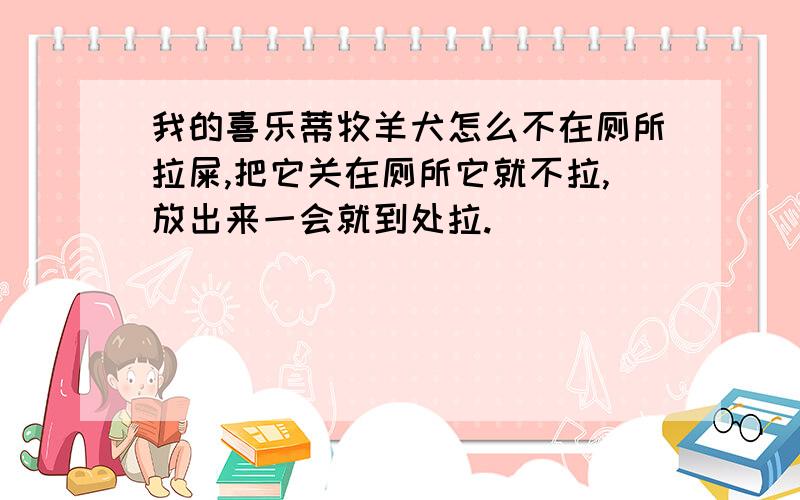 我的喜乐蒂牧羊犬怎么不在厕所拉屎,把它关在厕所它就不拉,放出来一会就到处拉.