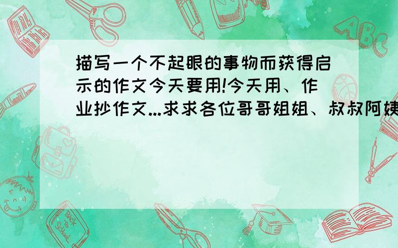 描写一个不起眼的事物而获得启示的作文今天要用!今天用、作业抄作文...求求各位哥哥姐姐、叔叔阿姨啊!描写一件不起眼的事物、从而获得人生的启示..