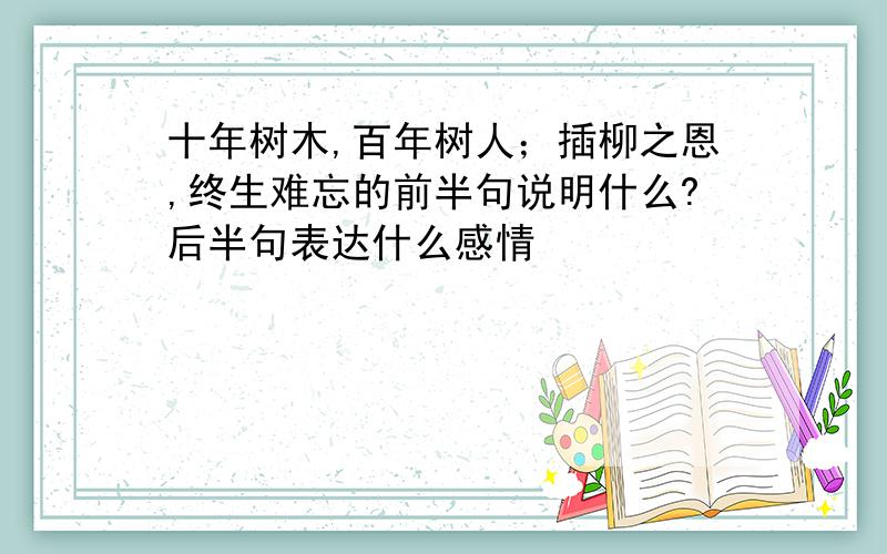 十年树木,百年树人；插柳之恩,终生难忘的前半句说明什么?后半句表达什么感情