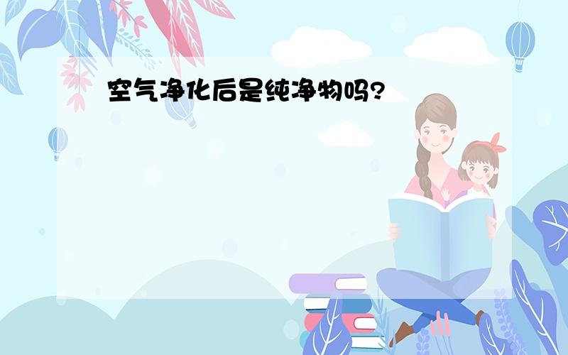 空气净化后是纯净物吗?