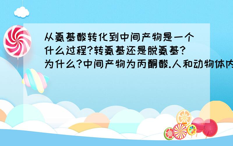 从氨基酸转化到中间产物是一个什么过程?转氨基还是脱氨基?为什么?中间产物为丙酮酸.人和动物体内.