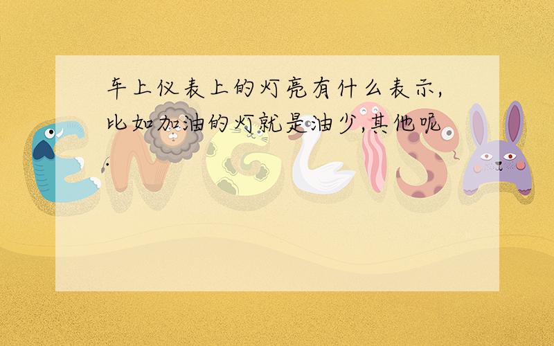 车上仪表上的灯亮有什么表示,比如加油的灯就是油少,其他呢.