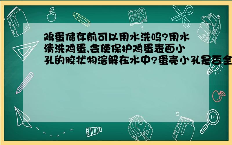 鸡蛋储存前可以用水洗吗?用水清洗鸡蛋,会使保护鸡蛋表面小孔的胶状物溶解在水中?蛋壳小孔是否全部暴露,细菌由此得以乘虚而入,同时也使得蛋内的水分不易蒸发吗?因此存鸡蛋是否不宜用