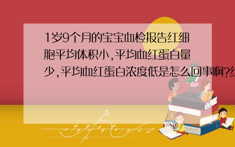 1岁9个月的宝宝血检报告红细胞平均体积小,平均血红蛋白量少,平均血红蛋白浓度低是怎么回事啊?红细胞平均体积68.20,平均血红蛋白浓量20.10,平均血红蛋白浓度295.00中性细胞比率17.74