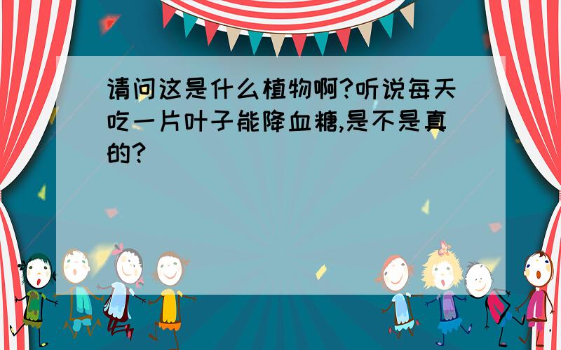 请问这是什么植物啊?听说每天吃一片叶子能降血糖,是不是真的?