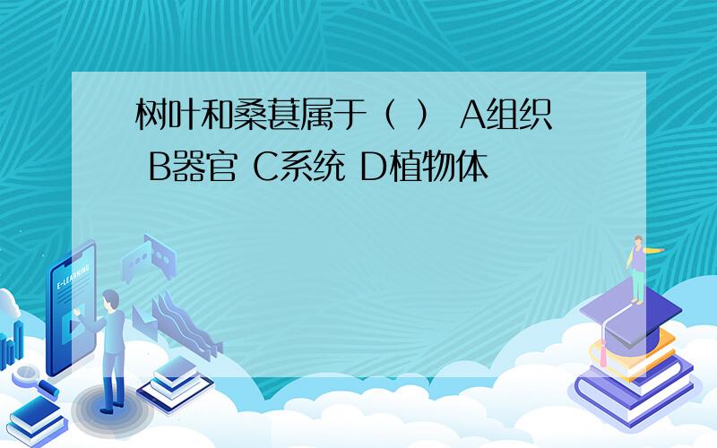 树叶和桑葚属于（ ） A组织 B器官 C系统 D植物体