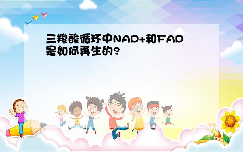 三羧酸循环中NAD+和FAD是如何再生的?