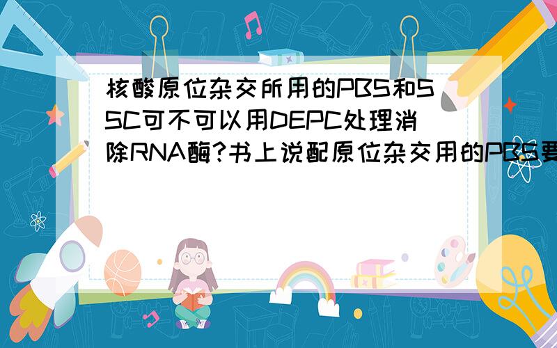 核酸原位杂交所用的PBS和SSC可不可以用DEPC处理消除RNA酶?书上说配原位杂交用的PBS要用DEPC处理水,可不可以先把PBS配好,再用DEPC处理配好的PBS,达到消除RNA酶的效果?