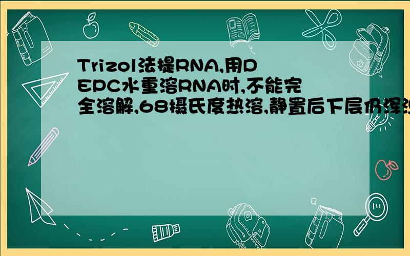 Trizol法提RNA,用DEPC水重溶RNA时,不能完全溶解,68摄氏度热溶,静置后下层仍浑浊,请问需要取上清吗?