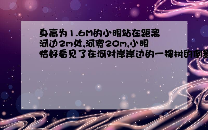 身高为1.6M的小明站在距离河边2m处,河宽20m,小明恰好看见了在河对岸岸边的一棵树的倒影,倒影的树尖正好在小明这侧河岸的岸边上,求树的高度.