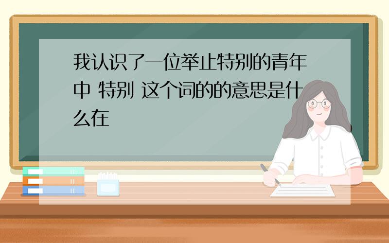 我认识了一位举止特别的青年 中 特别 这个词的的意思是什么在