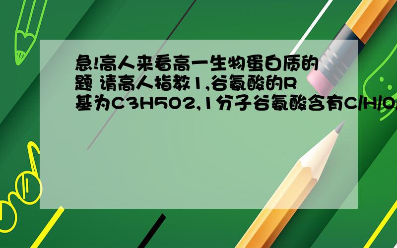 急!高人来看高一生物蛋白质的题 请高人指教1,谷氨酸的R基为C3H5O2,1分子谷氨酸含有C/H/O/N原子个数分别是?A:5、9、4、1                              B 4、8、5、1C 5、8、4、1                              D 4.9.4