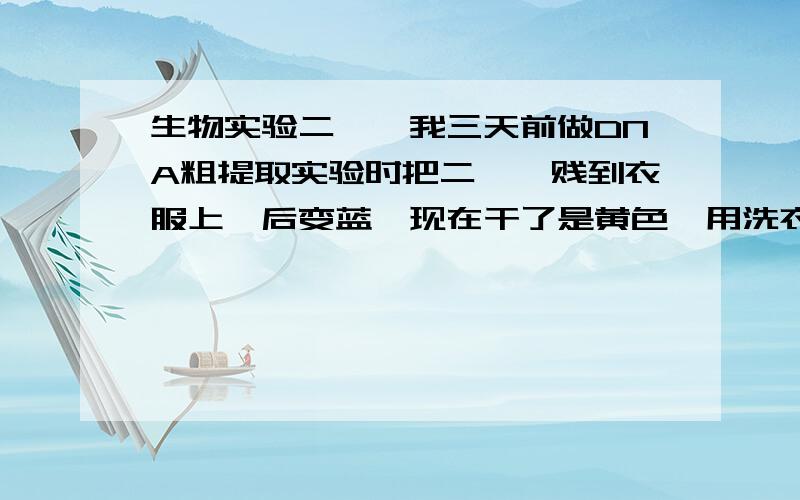 生物实验二苯胺我三天前做DNA粗提取实验时把二苯胺贱到衣服上,后变蓝,现在干了是黄色,用洗衣粉洗不掉,是不是浓硫酸脱水了,我还有希望洗掉吗,怎么办不要复制答案