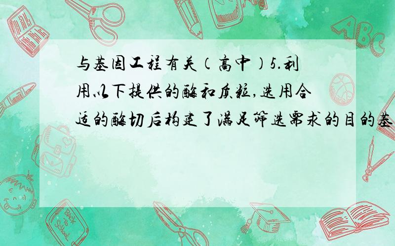 与基因工程有关（高中）5．利用以下提供的酶和质粒,选用合适的酶切后构建了满足筛选需求的目的基因-质粒连接物（标为D）下列有关叙述中,错误的是（A） A．DNA上的每个酶切位点只能被