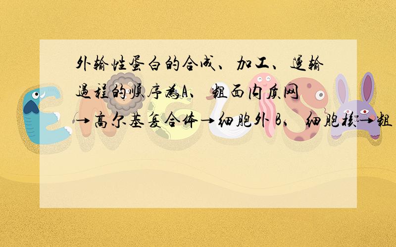 外输性蛋白的合成、加工、运输过程的顺序为A、 粗面内质网→高尔基复合体→细胞外 B、 细胞核→粗面内质网→高尔基复合体→分泌泡→细胞膜→细胞外C、 粗面内质网→高尔基复合体→分