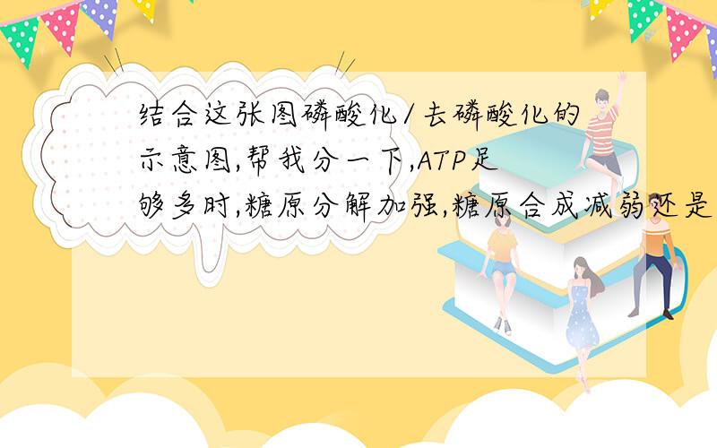 结合这张图磷酸化/去磷酸化的示意图,帮我分一下,ATP足够多时,糖原分解加强,糖原合成减弱还是其他情况?ATP多不就意味着能量供应充分,那应该是糖原合成酶处于活性状态,糖原分解处于无活