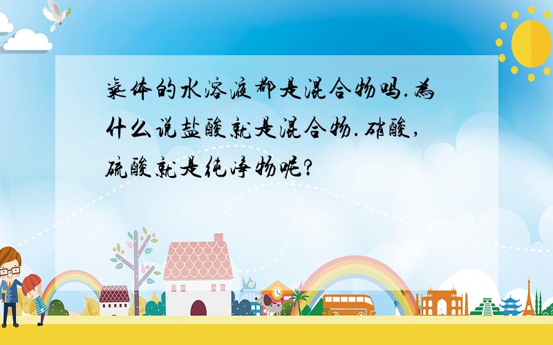 气体的水溶液都是混合物吗.为什么说盐酸就是混合物.硝酸,硫酸就是纯净物呢?