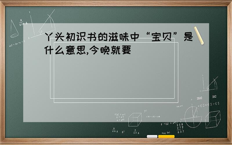 丫头初识书的滋味中“宝贝”是什么意思,今晚就要