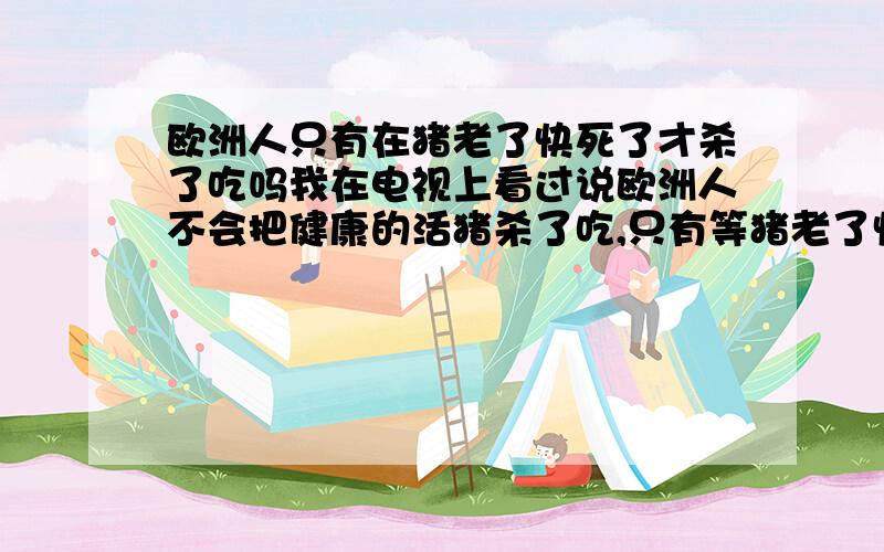 欧洲人只有在猪老了快死了才杀了吃吗我在电视上看过说欧洲人不会把健康的活猪杀了吃,只有等猪老了快死了才会杀了吃.蛋是我爸妈就是不信.我爸还说我自以为是胡说八道.求大神们证明我