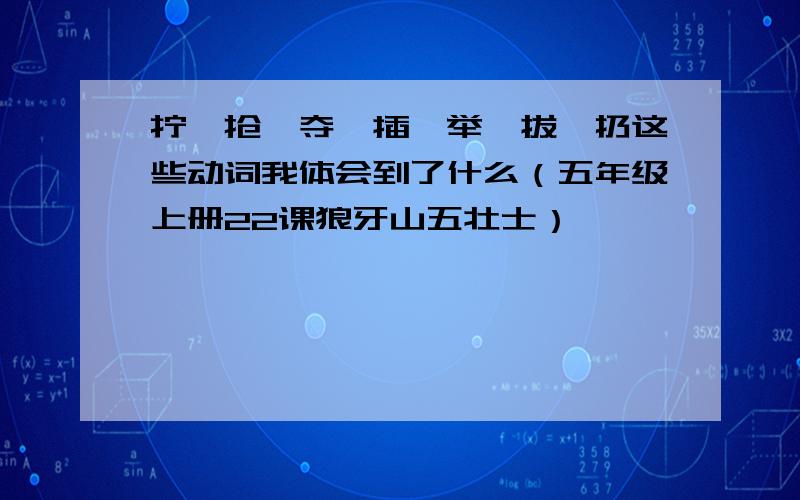 拧、抢、夺、插、举、拔、扔这些动词我体会到了什么（五年级上册22课狼牙山五壮士）