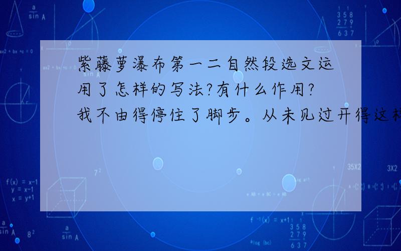 紫藤萝瀑布第一二自然段选文运用了怎样的写法?有什么作用?我不由得停住了脚步。从未见过开得这样盛的藤萝，只见一片辉煌的淡紫色，像一条瀑布，从空中垂下，不见其发端，也不见其