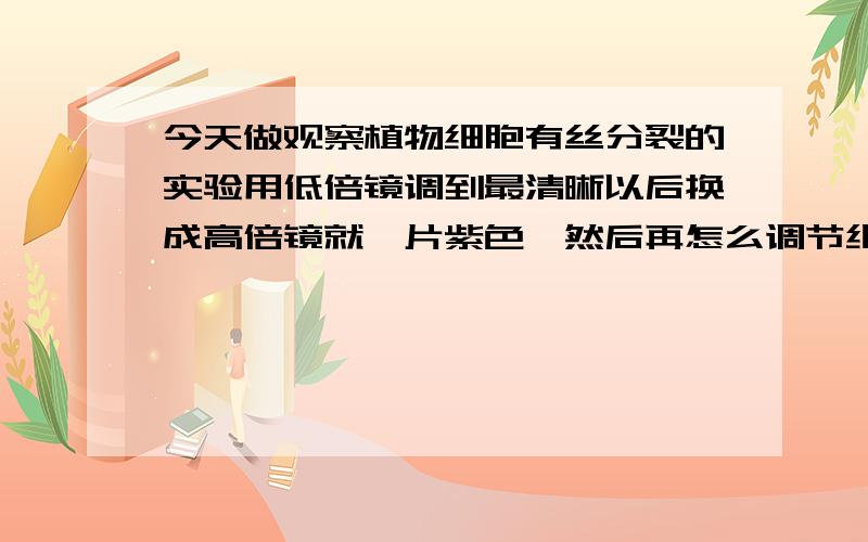 今天做观察植物细胞有丝分裂的实验用低倍镜调到最清晰以后换成高倍镜就一片紫色,然后再怎么调节细准焦也没有像了,这是怎么回事?高倍镜坏了?