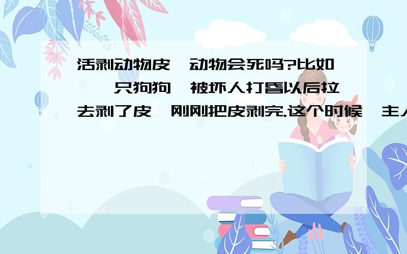 活剥动物皮,动物会死吗?比如,一只狗狗,被坏人打昏以后拉去剥了皮,刚刚把皮剥完.这个时候,主人赶到现场,把狗狗救下来,没有了皮的狗狗还能活吗?（是在尾巴上开个小口那样剥的,并没有伤